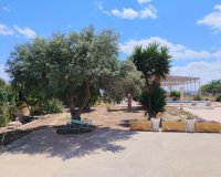 Resale - Villa -
Los Montesinos - Costa Blanca