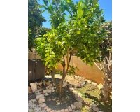 Resale - Villa -
Orihuela Costa - Lomas de Cabo Roig