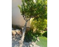 Resale - Villa -
Orihuela Costa - Lomas de Cabo Roig