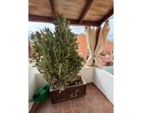 Resale - Villa -
Orihuela Costa - Playa Flamenca