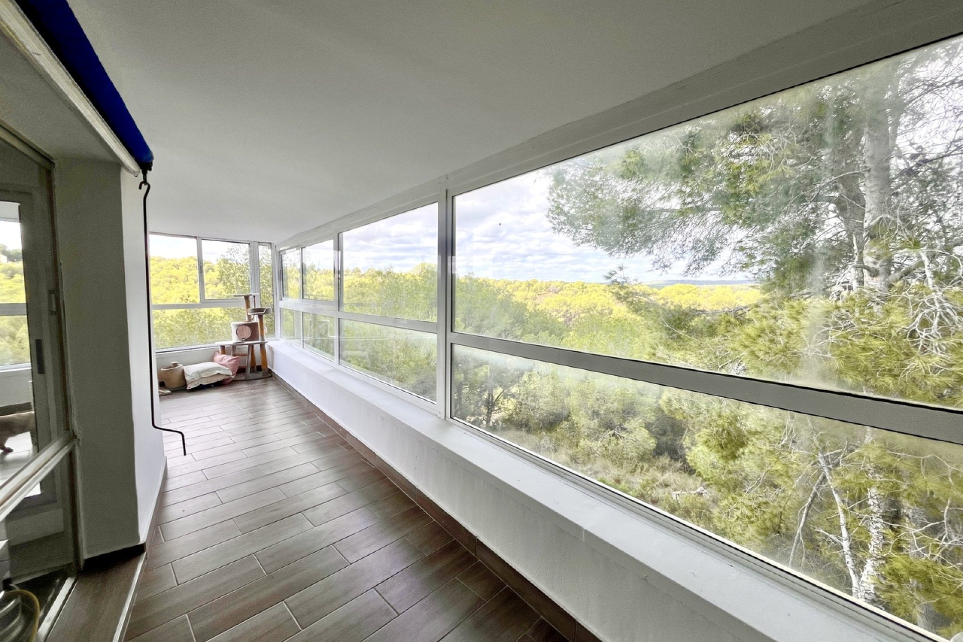 Resale - Villa -
Pinar de Campoverde - Inland