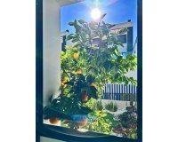 Resale - Villa -
Rojales - Inland