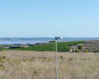 Resale - Villa -
San Miguel de Salinas - Inland