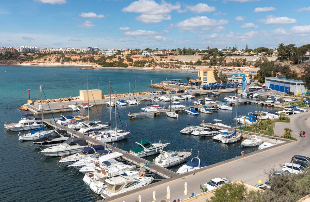 Resale - Villa -
San Miguel de Salinas - Inland