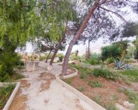 Resale - Villa -
San Miguel de Salinas - Inland