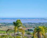 Resale - Villa -
San Miguel de Salinas - Inland