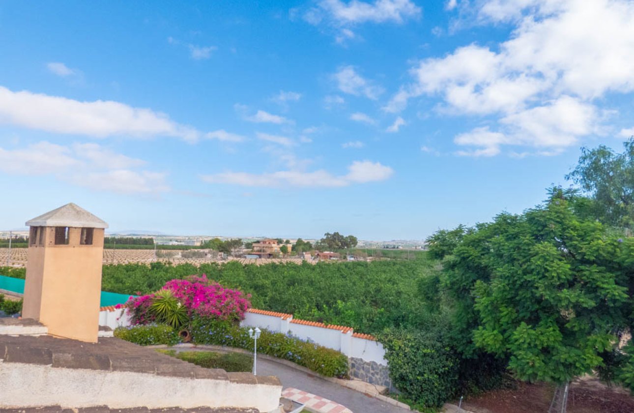 Resale - Villa -
San Miguel de Salinas - Inland