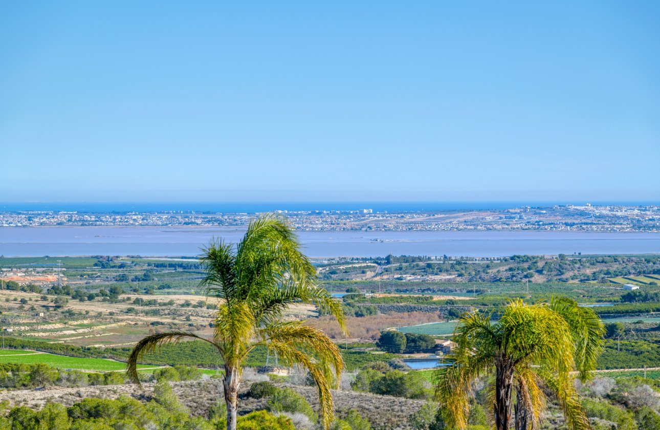 Resale - Villa -
San Miguel de Salinas - Inland