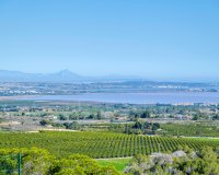 Resale - Villa -
San Miguel de Salinas - Inland