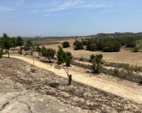 Resale - Villa -
San Miguel de Salinas - Inland