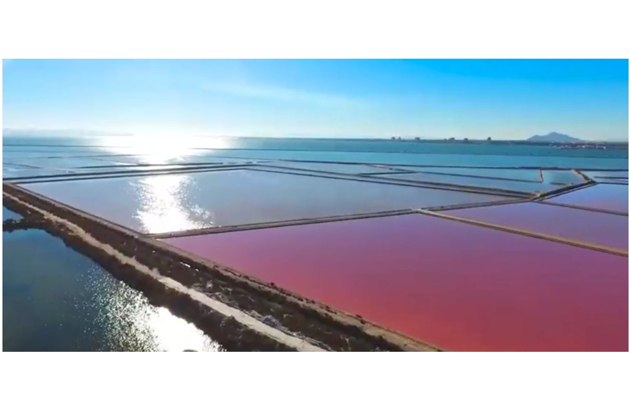 Resale - Villa -
Torre de la Horadada - Costa Blanca