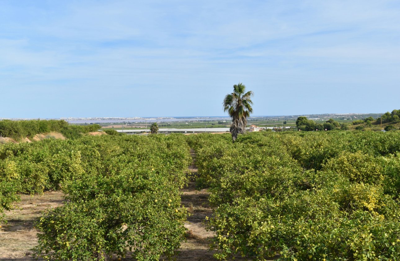 Resale - Villa -
Torremendo - Costa Blanca