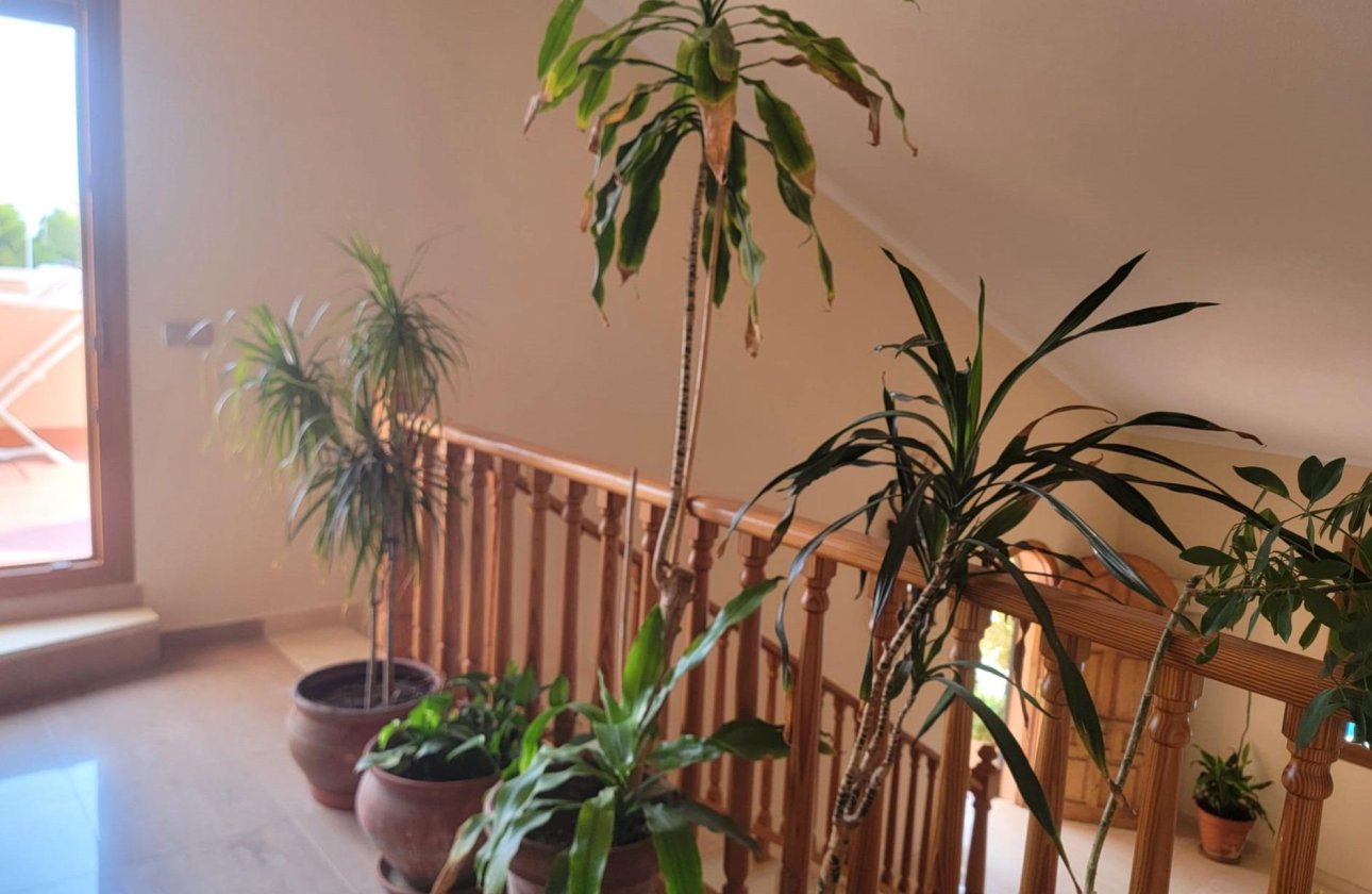 Resale - Villa -
Torrevieja - Aguas Nuevas