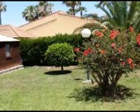 Resale - Villa -
Torrevieja - Costa Blanca