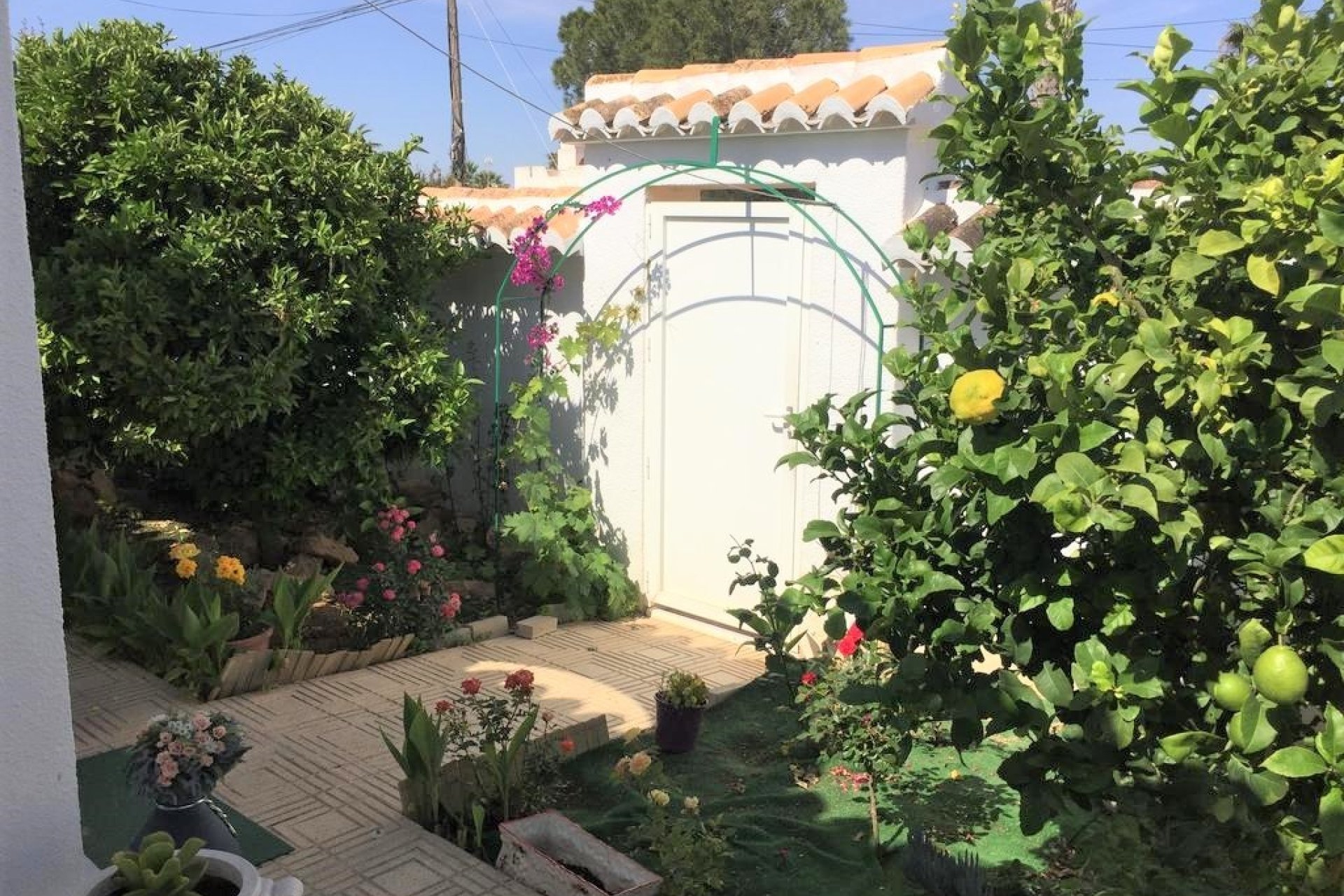 Resale - Villa -
Torrevieja - Costa Blanca