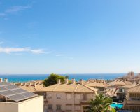 Resale - Villa -
Torrevieja - Costa Blanca