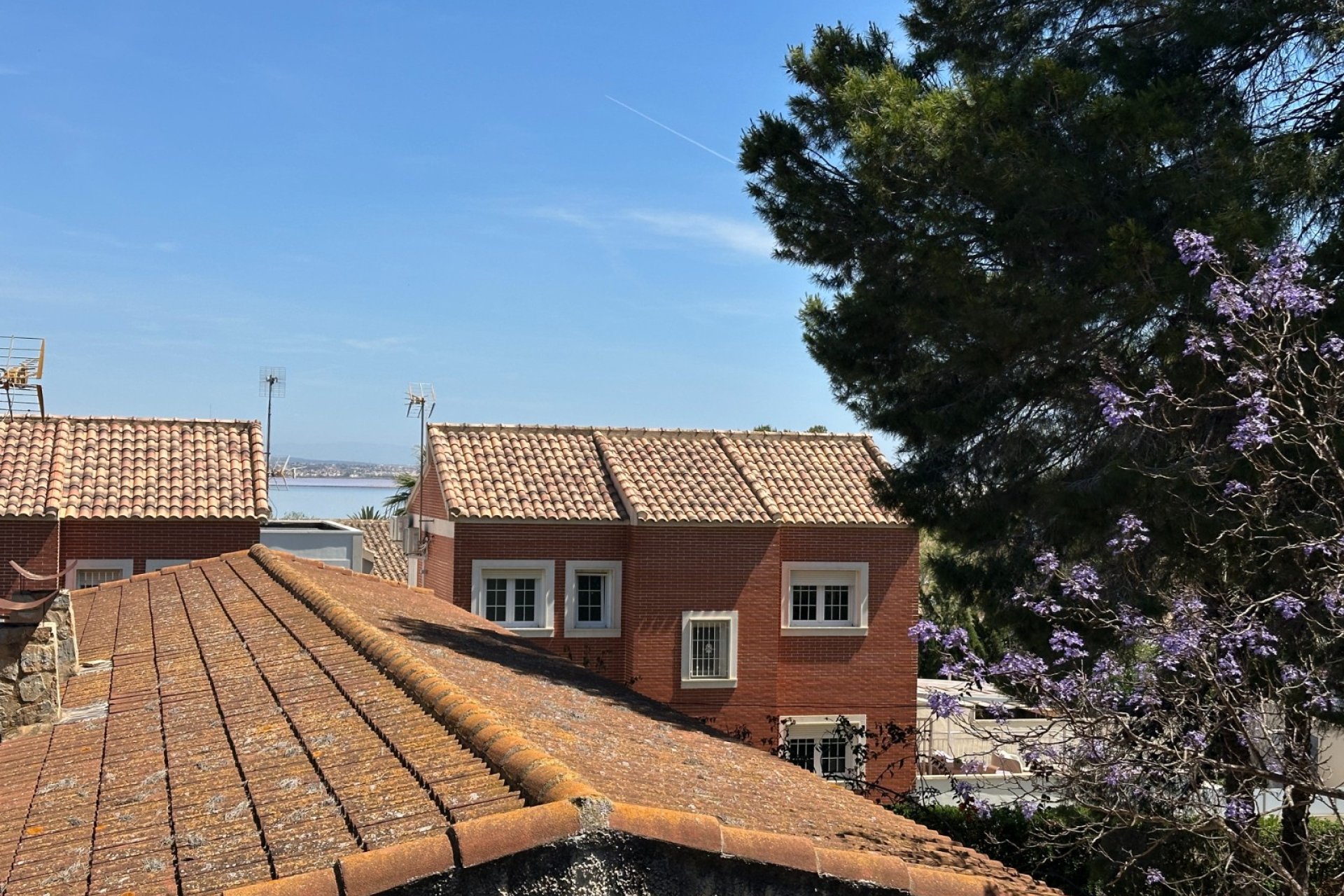 Resale - Villa -
Torrevieja - Costa Blanca
