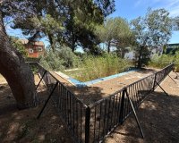 Resale - Villa -
Torrevieja - Costa Blanca