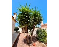 Resale - Villa -
Torrevieja - Costa Blanca