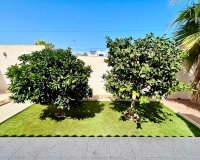 Resale - Villa -
Torrevieja - Costa Blanca