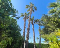 Resale - Villa -
Torrevieja - La Siesta