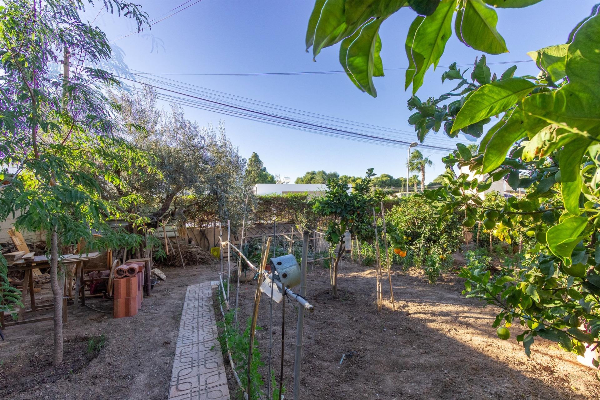 Resale - Villa -
Torrevieja - Los Balcones