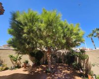 Resale - Villa -
Torrevieja - Torre Del Moro