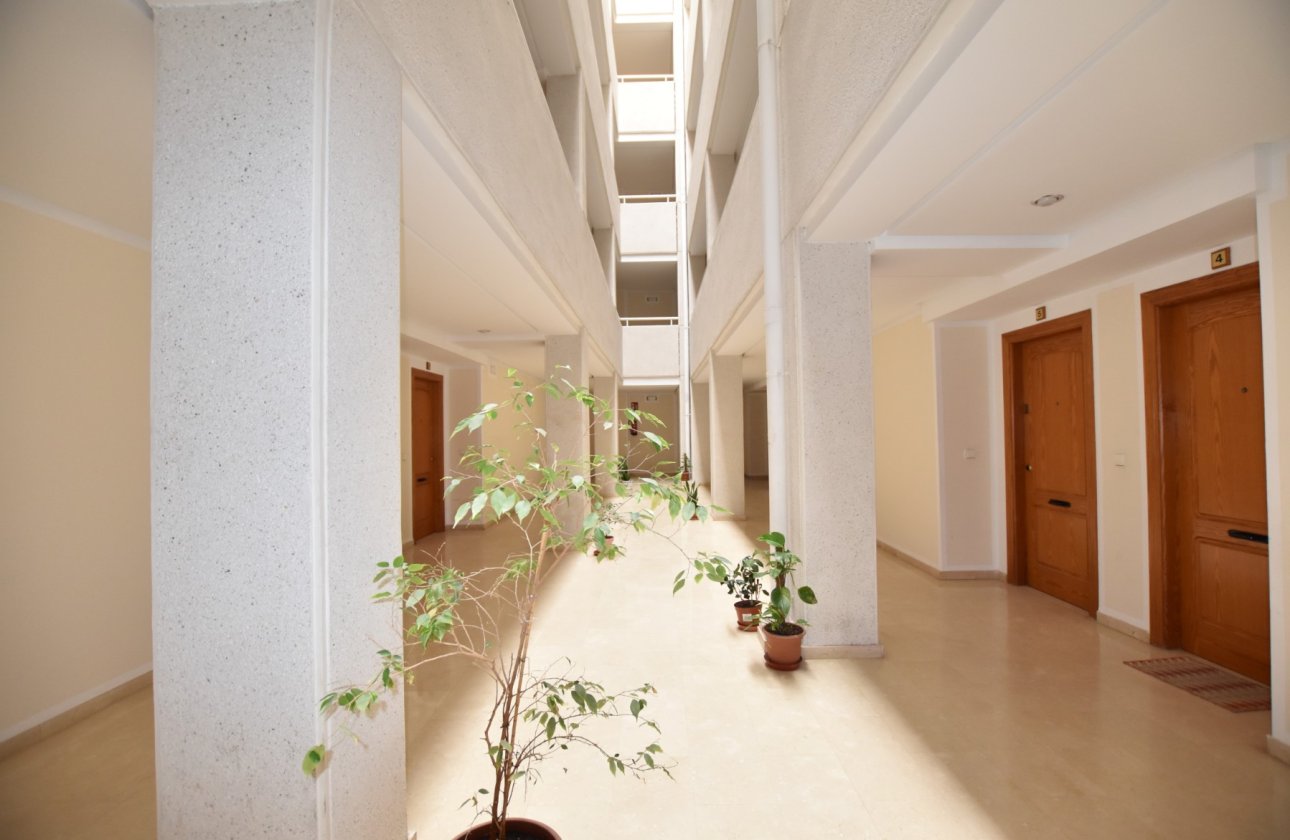 Revente - Appartement -
La Mata - Costa Blanca