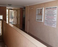 Revente - Appartement -
Los Montesinos - PUEBLO CENTRO