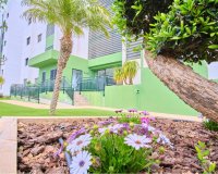 Revente - Appartement -
Mil Palmeras - Costa Blanca