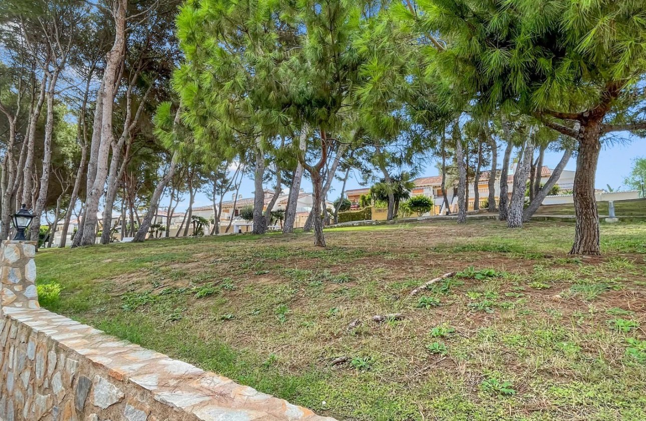 Revente - Appartement -
Mil Palmeras - Costa Blanca