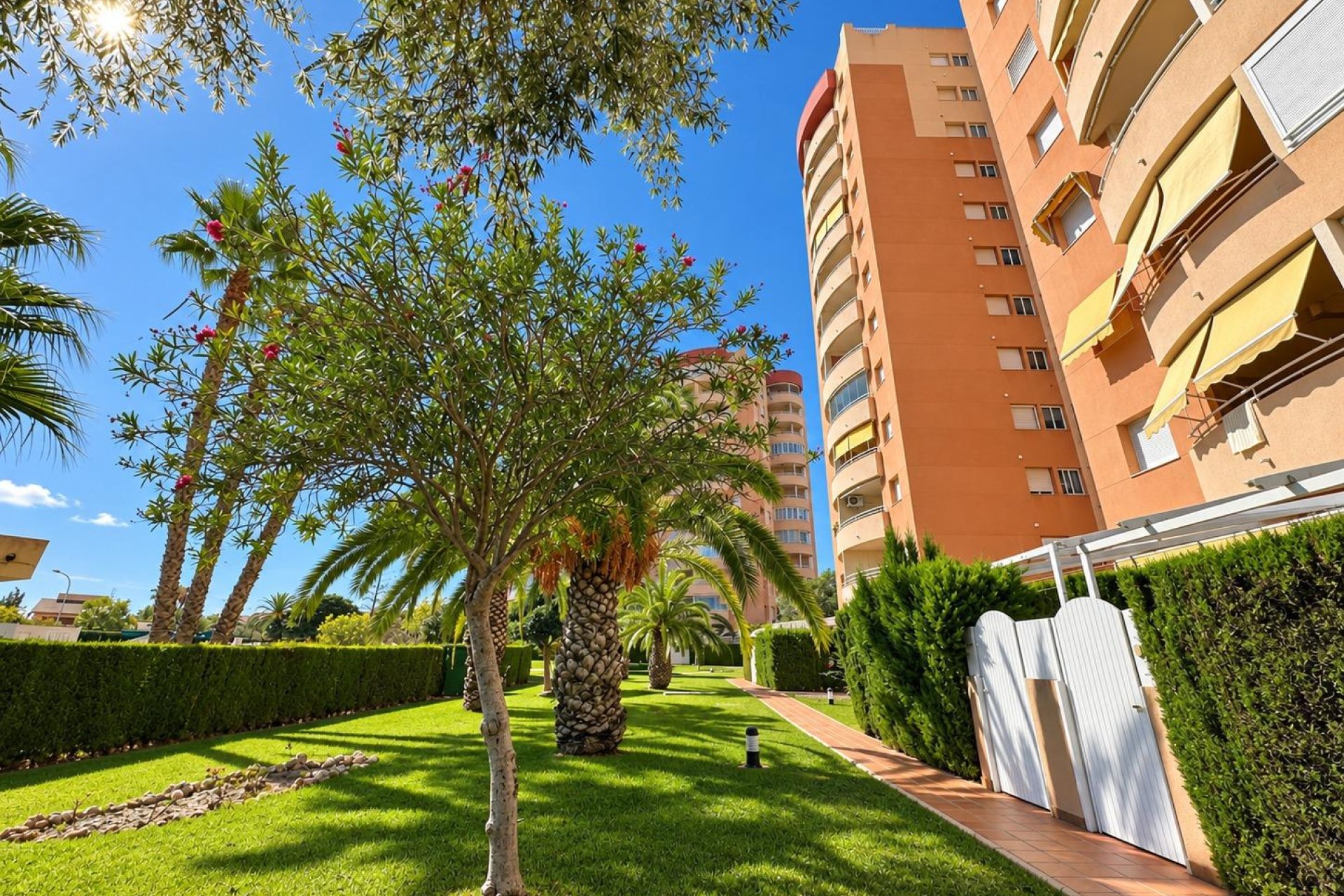 Revente - Appartement -
Orihuela Costa - Campoamor