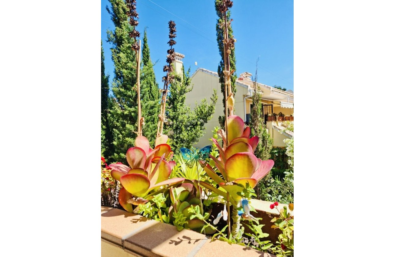 Revente - Appartement -
Orihuela Costa - Costa Blanca