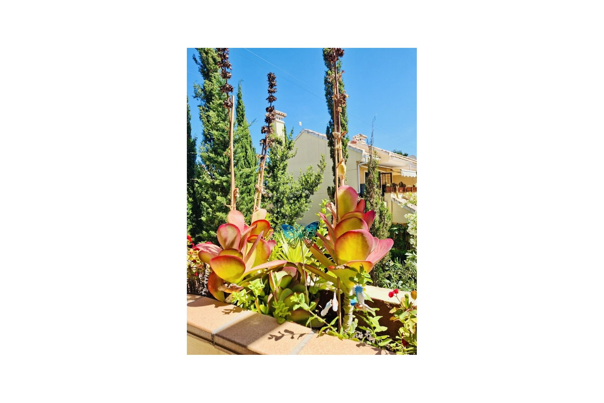 Revente - Appartement -
Orihuela Costa - Costa Blanca