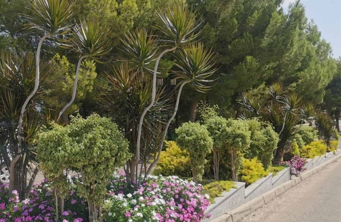 Revente - Appartement -
Orihuela Costa - Costa Blanca