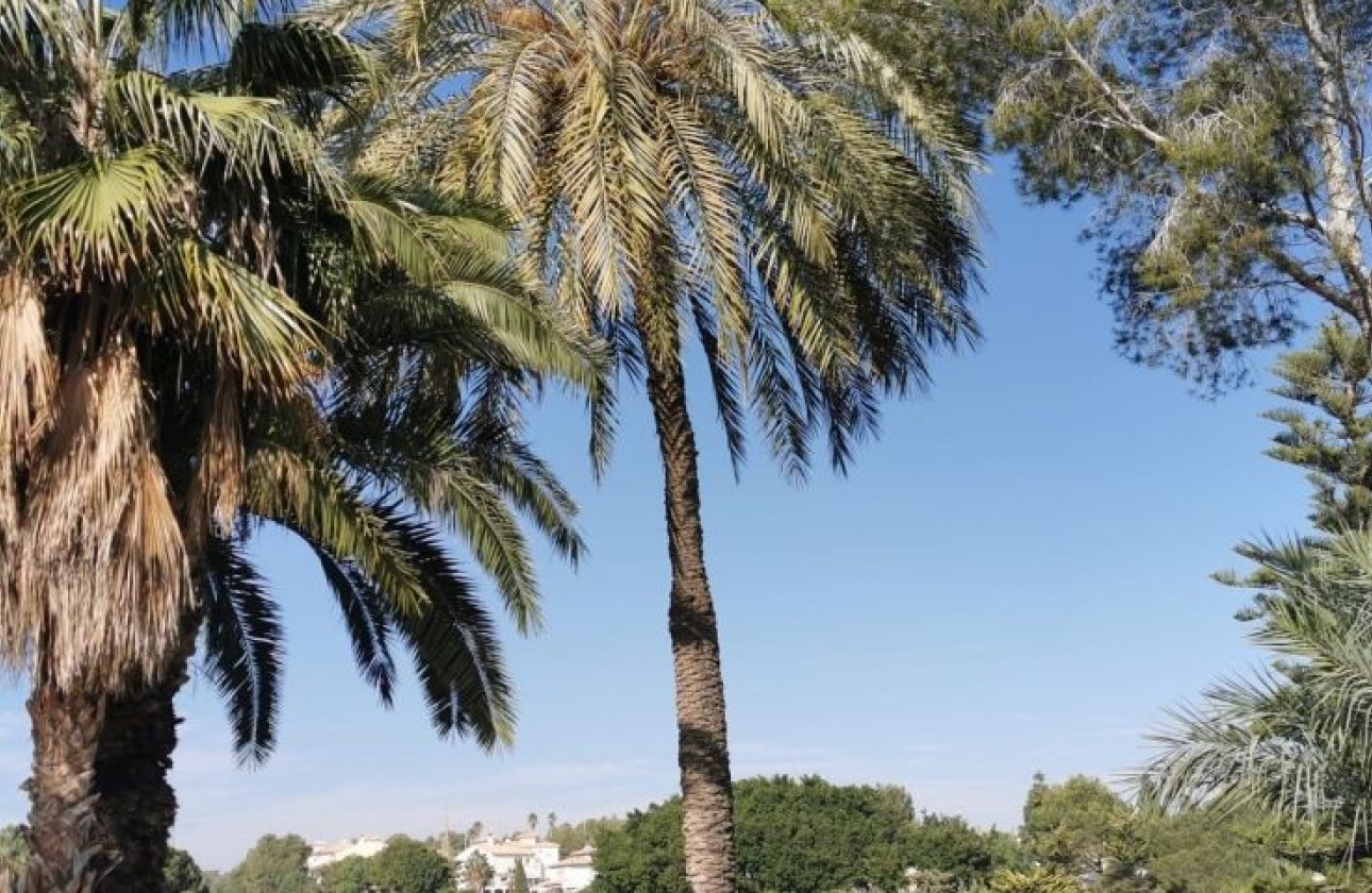 Revente - Appartement -
Orihuela Costa - Costa Blanca