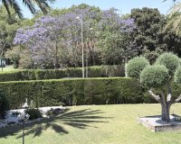 Revente - Appartement -
Orihuela Costa - Costa Blanca