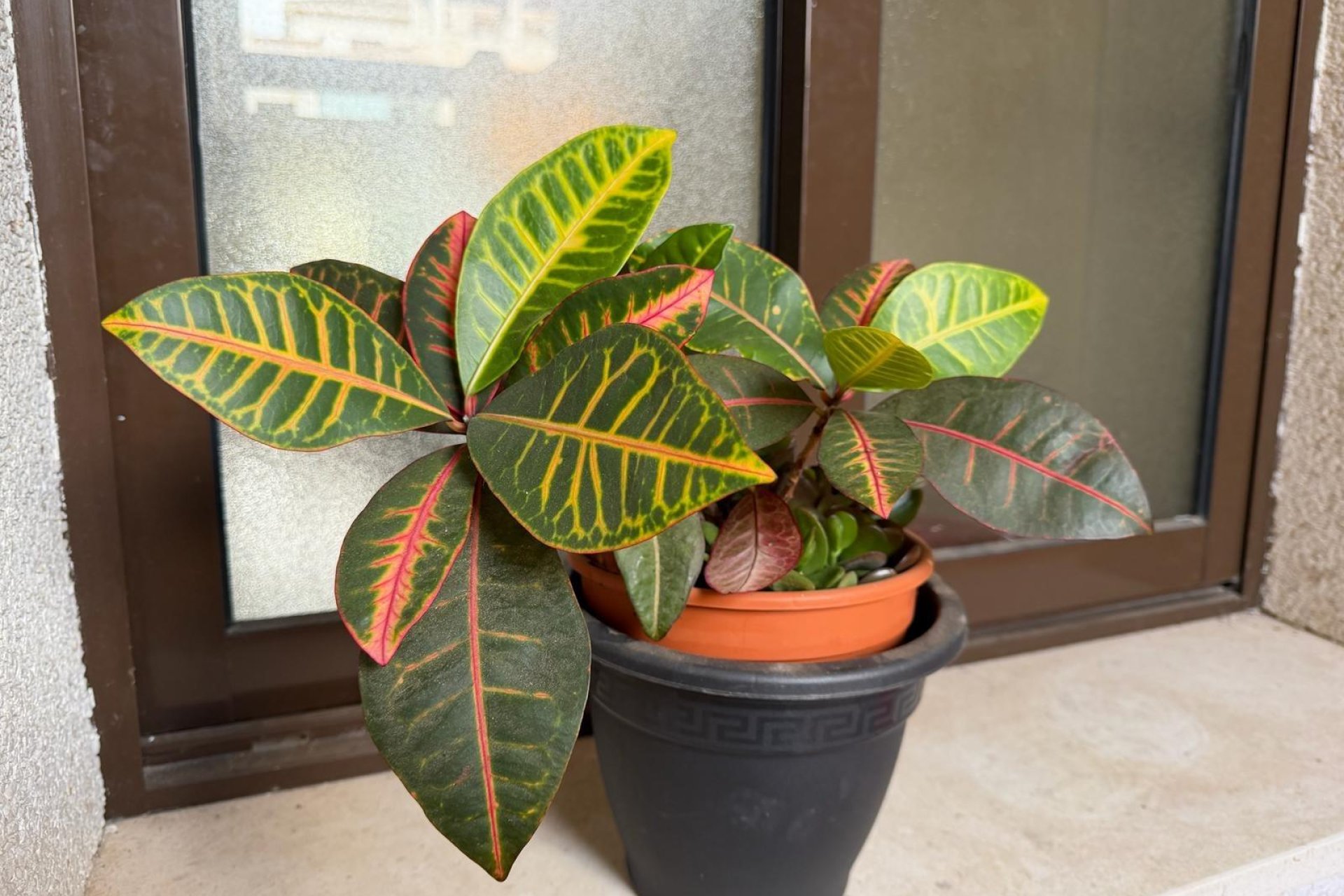 Revente - Appartement -
Orihuela Costa - Las Ramblas