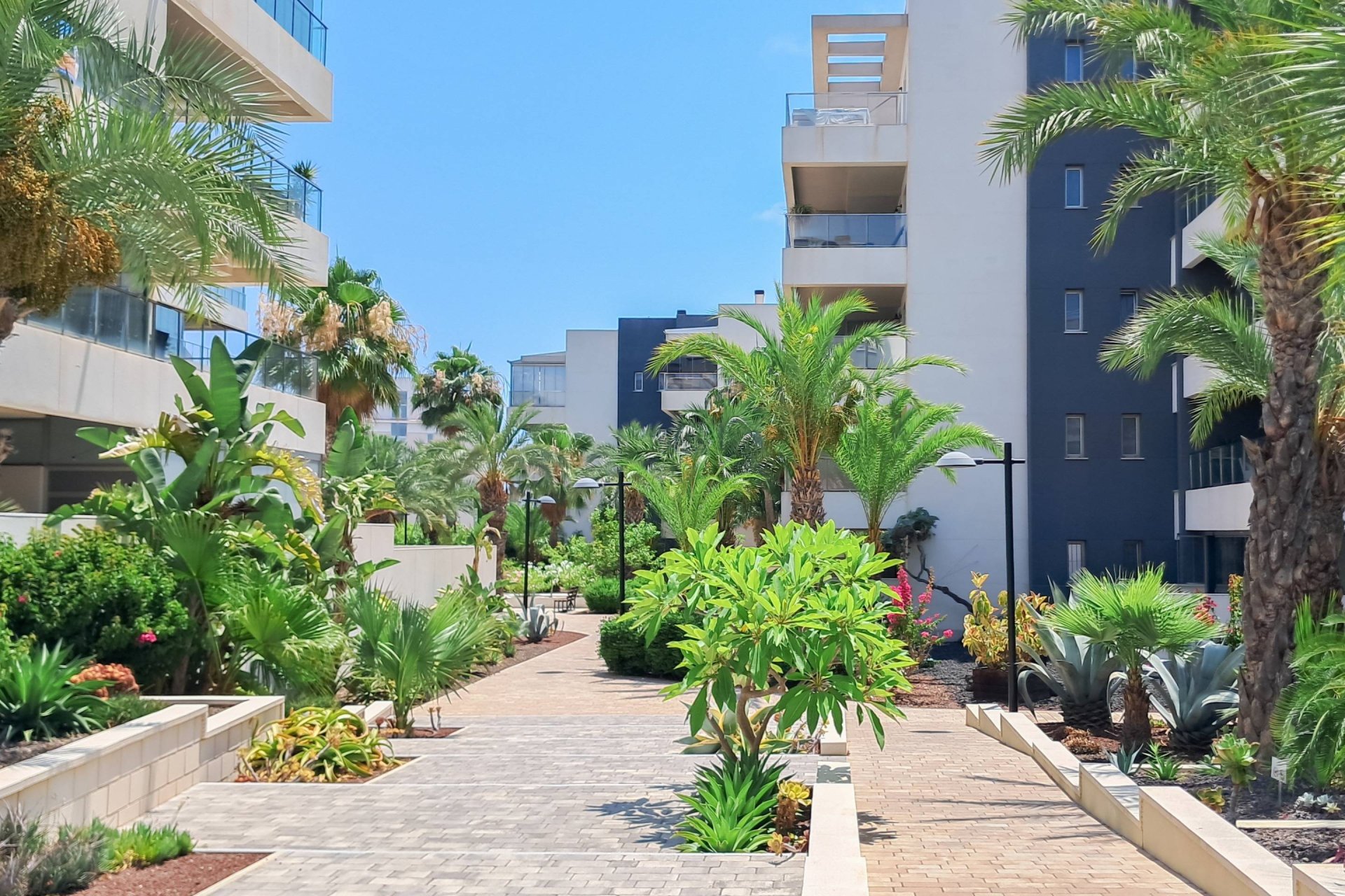 Revente - Appartement -
Orihuela Costa - Los Dolses