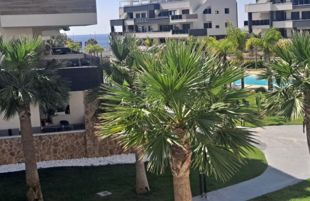 Revente - Appartement -
Playa Flamenca - Costa Blanca