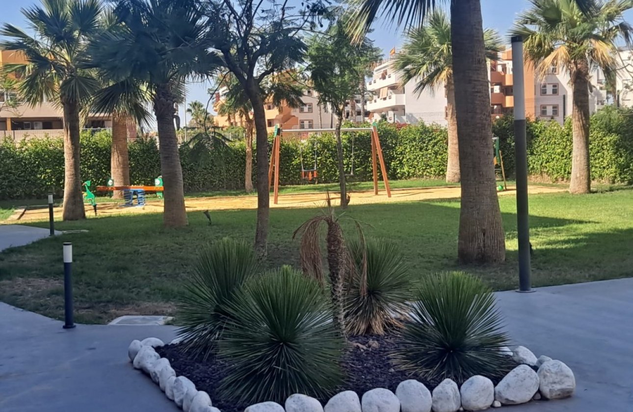 Revente - Appartement -
Playa Flamenca - Costa Blanca