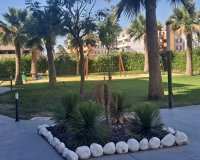 Revente - Appartement -
Playa Flamenca - Costa Blanca