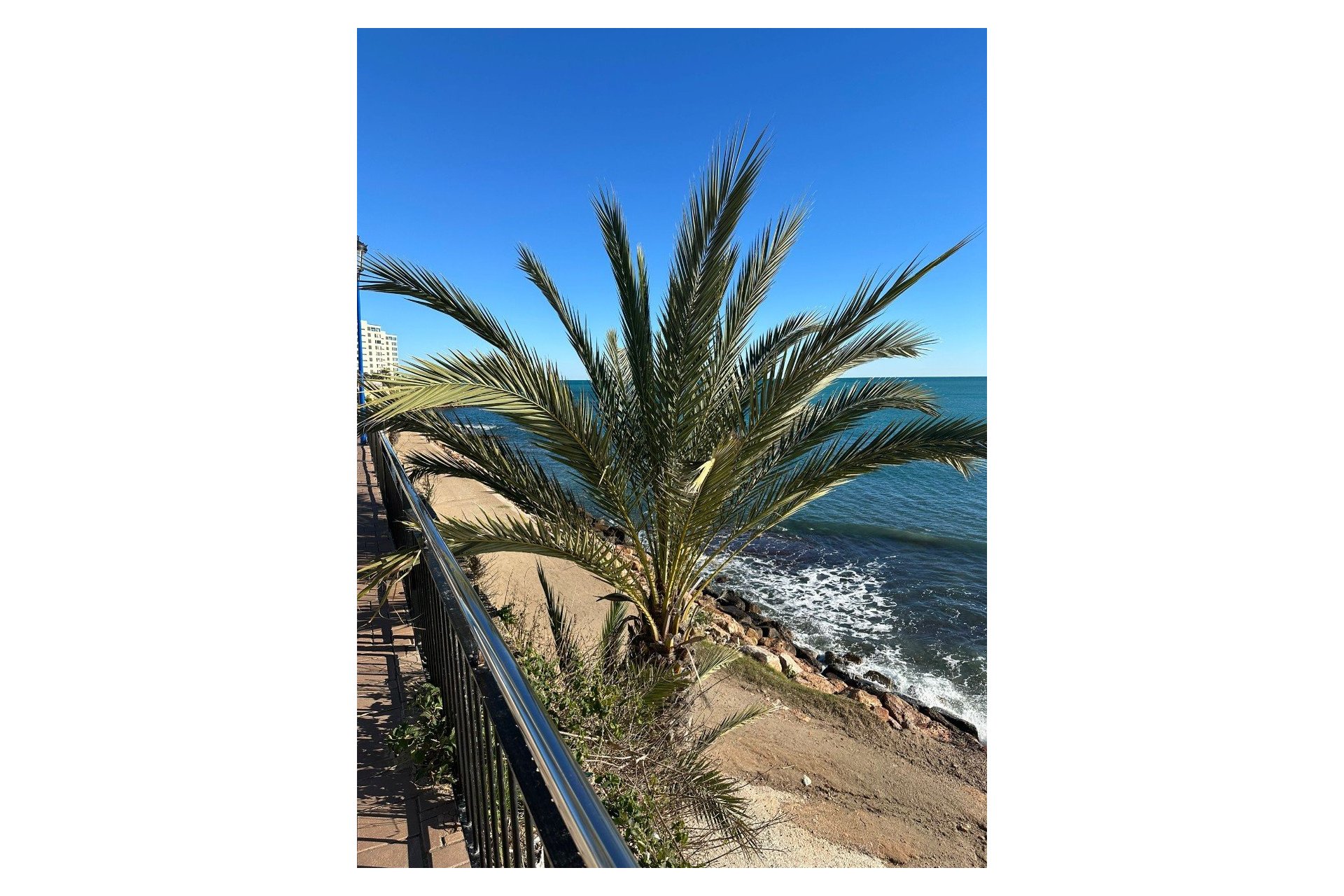 Revente - Appartement -
Punta Prima - Costa Blanca