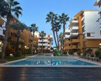 Revente - Appartement -
Punta Prima - Costa Blanca