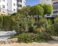 Revente - Appartement -
San Miguel de Salinas - Inland