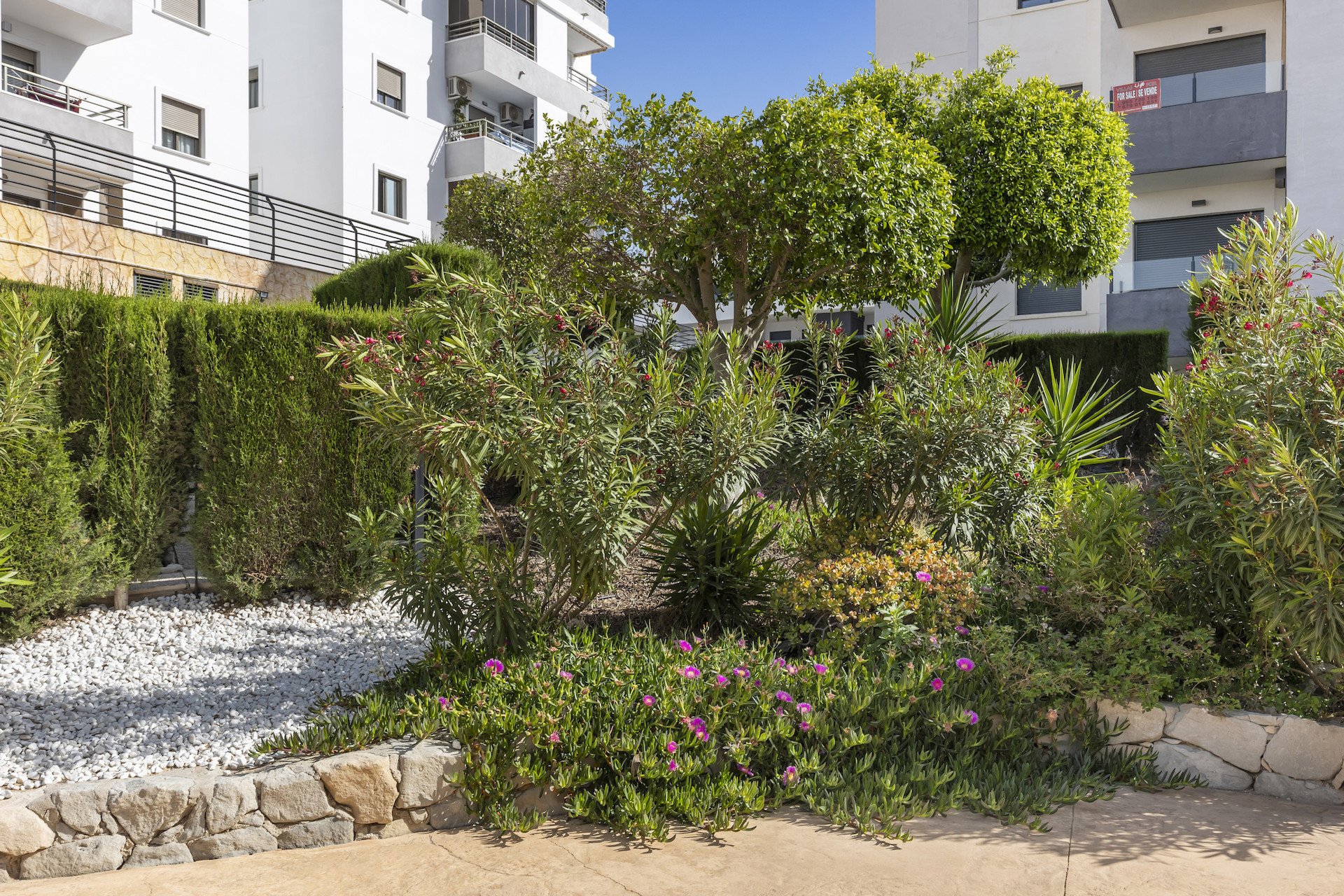 Revente - Appartement -
San Miguel de Salinas - Inland