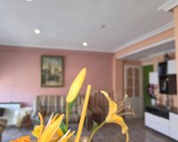 Revente - Appartement -
Torrevieja - Acequion