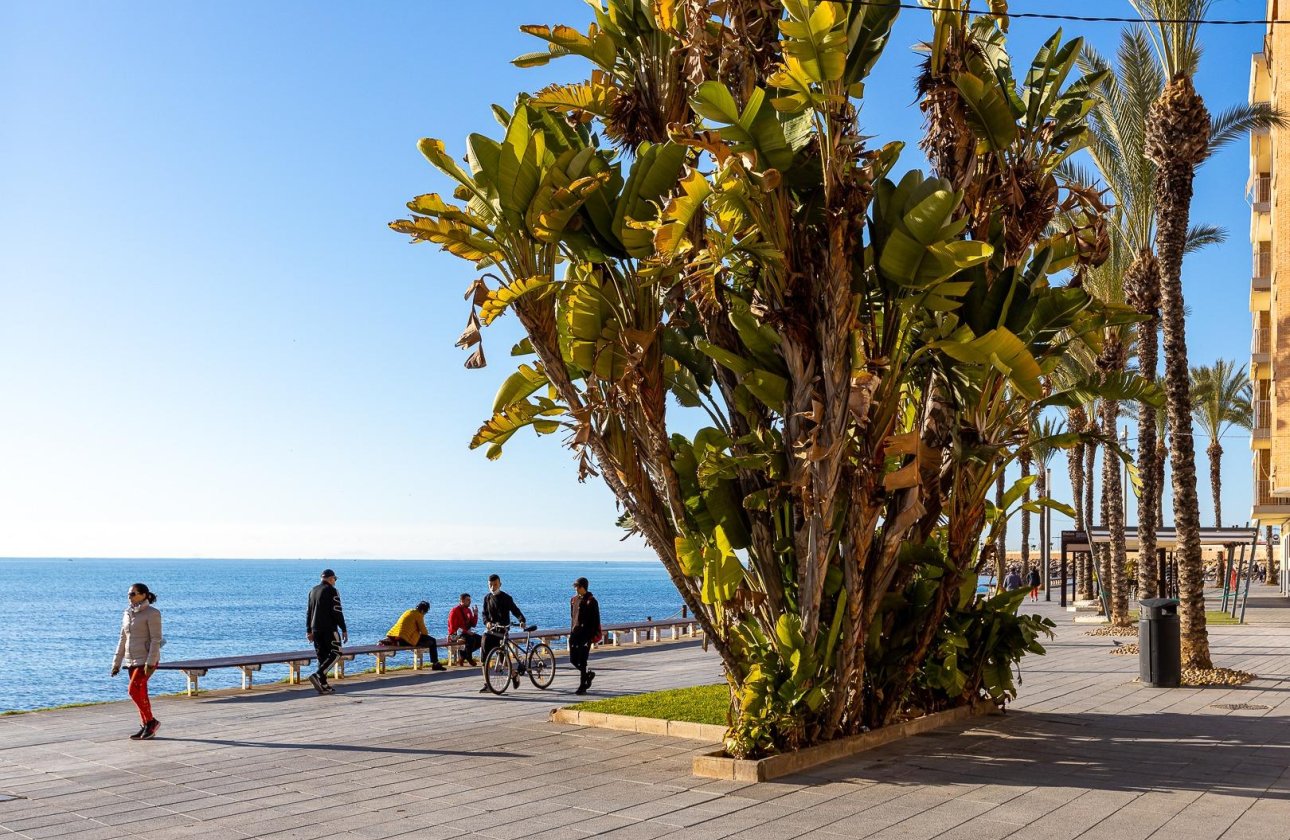 Revente - Appartement -
Torrevieja - Antonio Machado