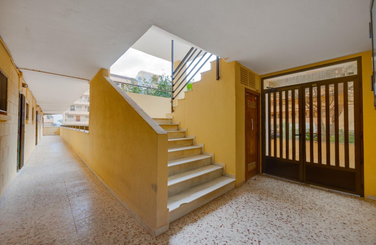 Revente - Appartement -
Torrevieja - Cabo Cervera