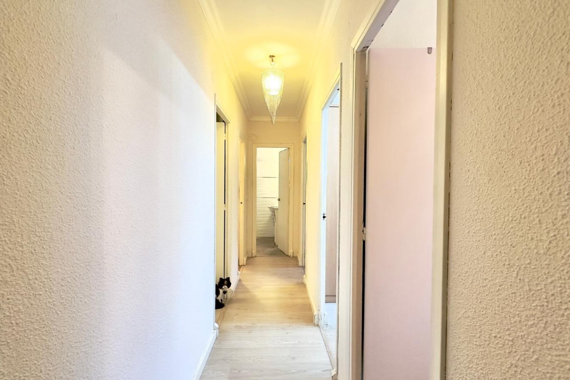 Revente - Appartement -
Torrevieja - Centro